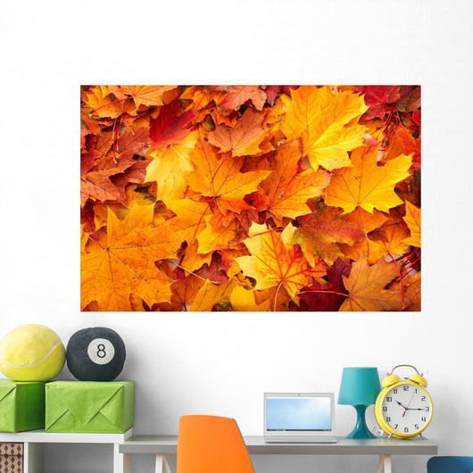 Group Autumn Orange Leaves