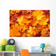Group Autumn Orange Leaves