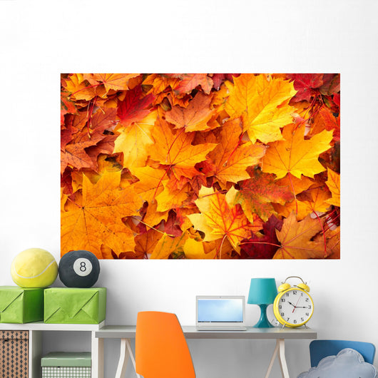 Group Autumn Orange Leaves