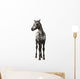Crossbreed Foal between Appaloosa Wall Decal