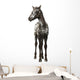 Crossbreed Foal between Appaloosa Wall Decal