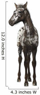 Crossbreed Foal between Appaloosa Wall Decal