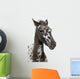 Close-up Crossbreed Foal between Wall Decal