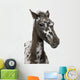 Close-up Crossbreed Foal between Wall Decal