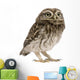 Little Owl Wall Decal
