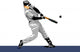 Baseball Wall Decal