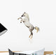 Arabian Horse Isolated Wall Decal