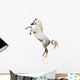 Arabian Horse Isolated Wall Decal
