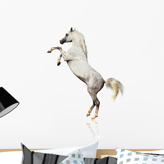 Arabian Horse Isolated Wall Decal