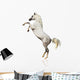 Arabian Horse Isolated Wall Decal