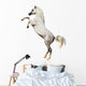 Arabian Horse Isolated Wall Decal