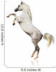 Arabian Horse Isolated Wall Decal
