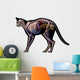 Cat Anatomy Wall Decal