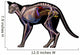 Cat Anatomy Wall Decal