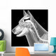 dog x-ray anatomy Wall Mural