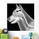 dog x-ray anatomy Wall Mural