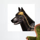 Dog Brain