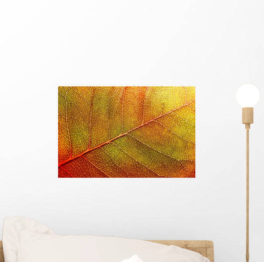 autumn-leaf Wall Mural