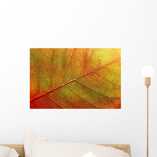 autumn-leaf Wall Mural