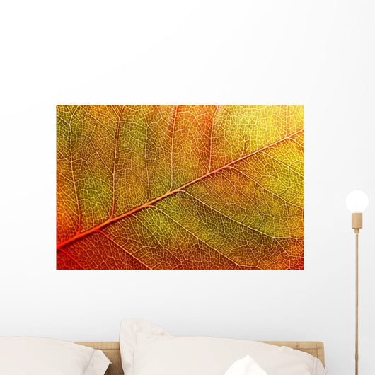 autumn-leaf Wall Mural