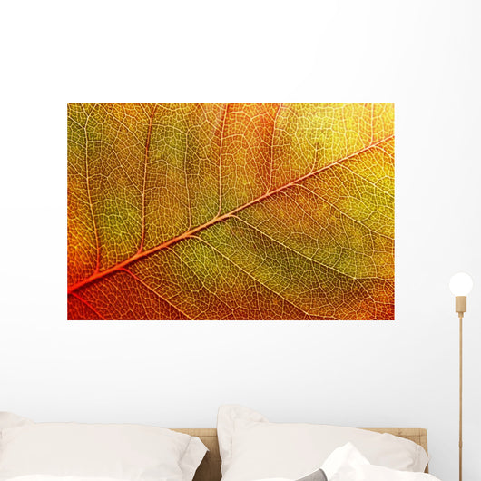 autumn-leaf Wall Mural
