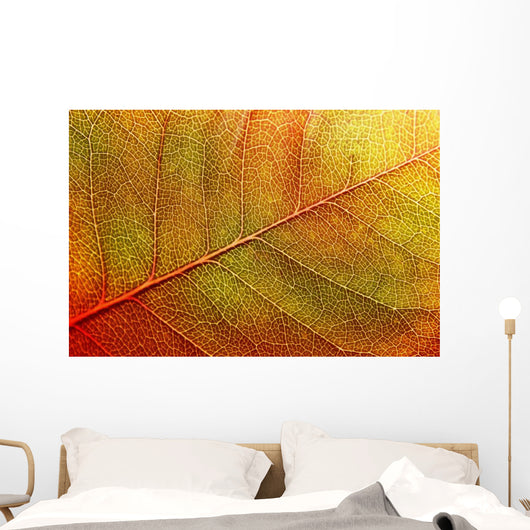 autumn-leaf Wall Mural