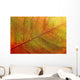 autumn-leaf Wall Mural