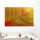 autumn-leaf Wall Mural