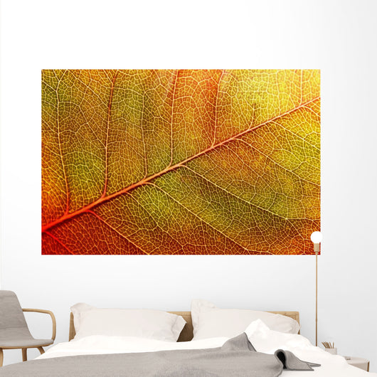 autumn-leaf Wall Mural