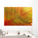 autumn-leaf Wall Mural