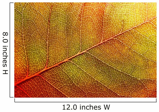autumn-leaf Wall Mural
