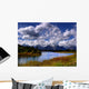 the river Wall Mural