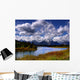 the river Wall Mural