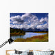 the river Wall Mural