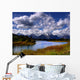 the river Wall Mural