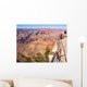 Grand Canyon Bright Angel Wall Decal