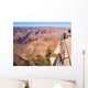 Grand Canyon Bright Angel Wall Decal