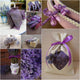 Lavender collage Wall Mural