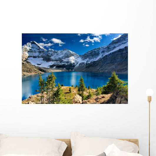 Lake Mcarthur Yoho National Park Wall Mural