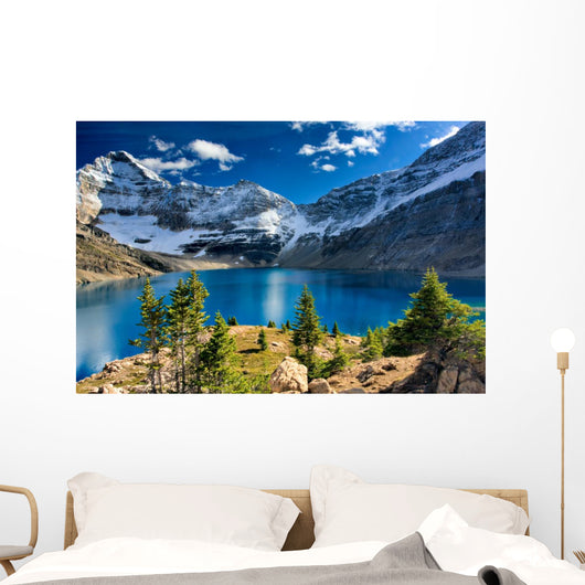 Lake Mcarthur Yoho National Park Wall Mural