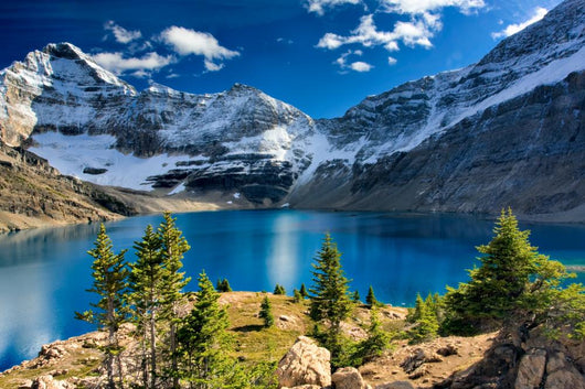 Lake Mcarthur Yoho National Park Wall Mural