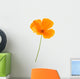 Eschscholzia californica Wall Decal