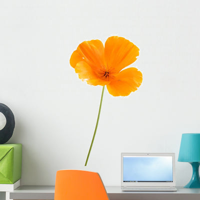 Eschscholzia Californica Wall Decal shown on a wall