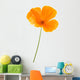 Eschscholzia californica Wall Decal