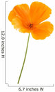 Eschscholzia californica Wall Decal