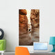 Girl Climbing Canyon Walls Wall Decal