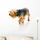 Dog Wall Decal