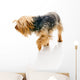 Dog Wall Decal