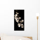 white orchid isolated over black background Wall Mural
