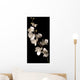 white orchid isolated over black background Wall Mural